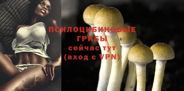 мефедрон Богородицк